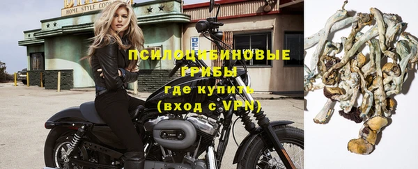 трава Абинск
